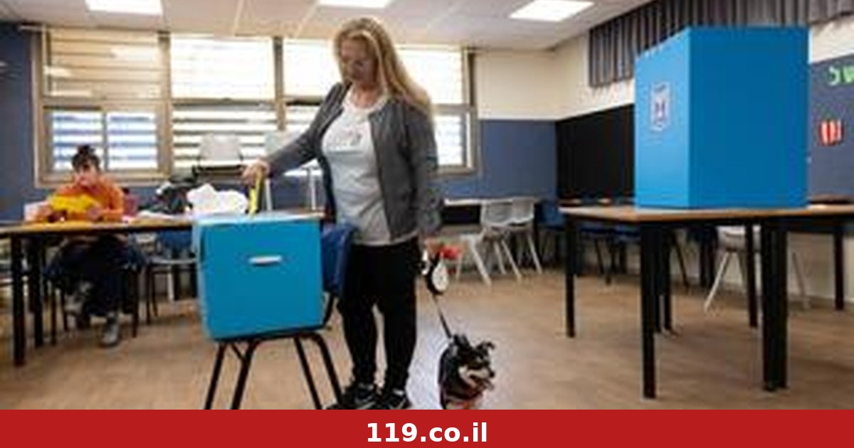 מסע בין הקולות המתלבטים שכנראה יכריעו איך ייראה עתידה של המדינה