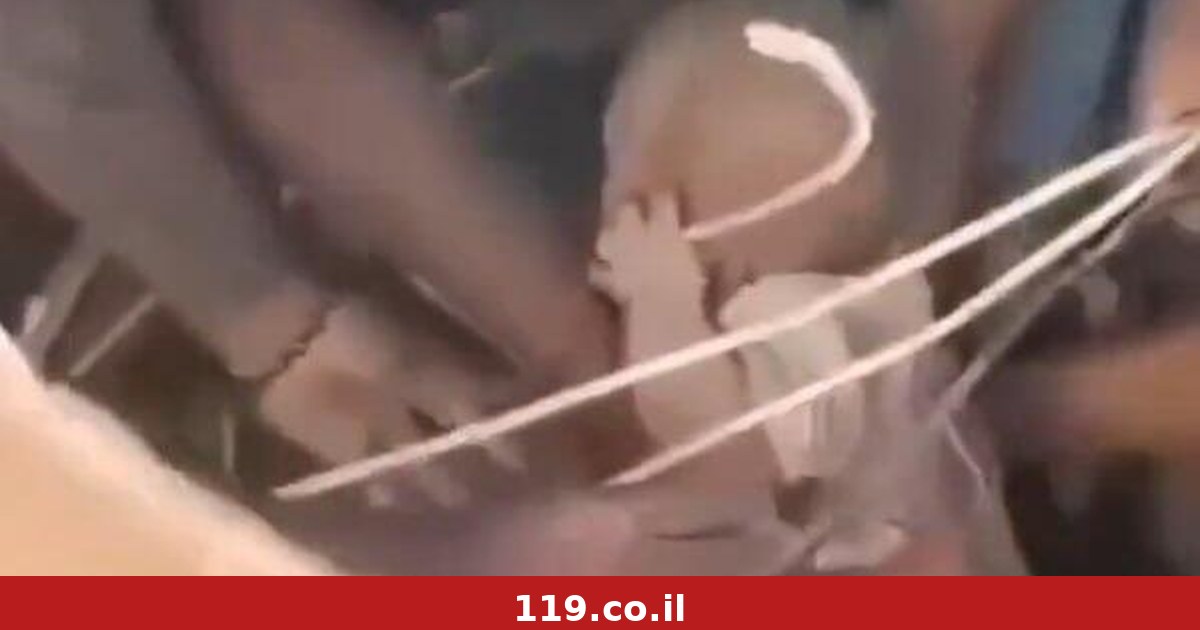 שעות חילוץ אחרונות בקולומביה: התינוק שנשלף מההריסות והלכוד שהשמיע 3 נקישות