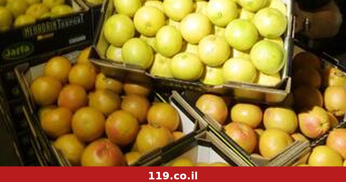 יעד חדש: המדינה האסייתית שישראל תייצא אליה תפוזים, לימונים ואשכוליות