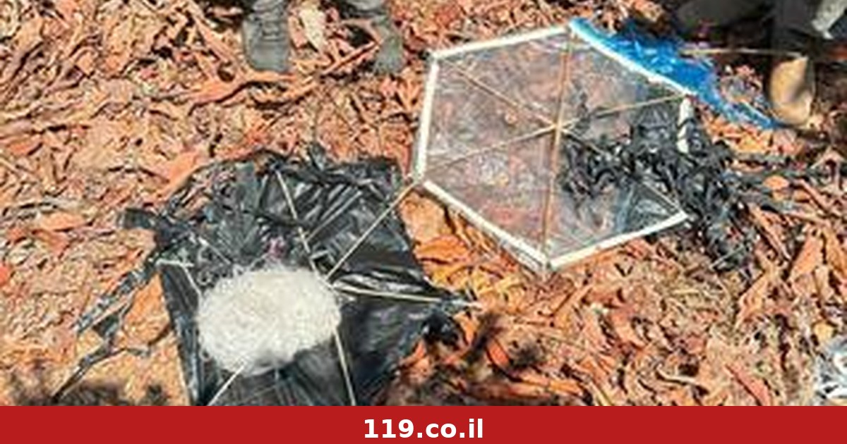 גורמים במועצת השלום: "שני הצדדים מפרים את ההסכם"