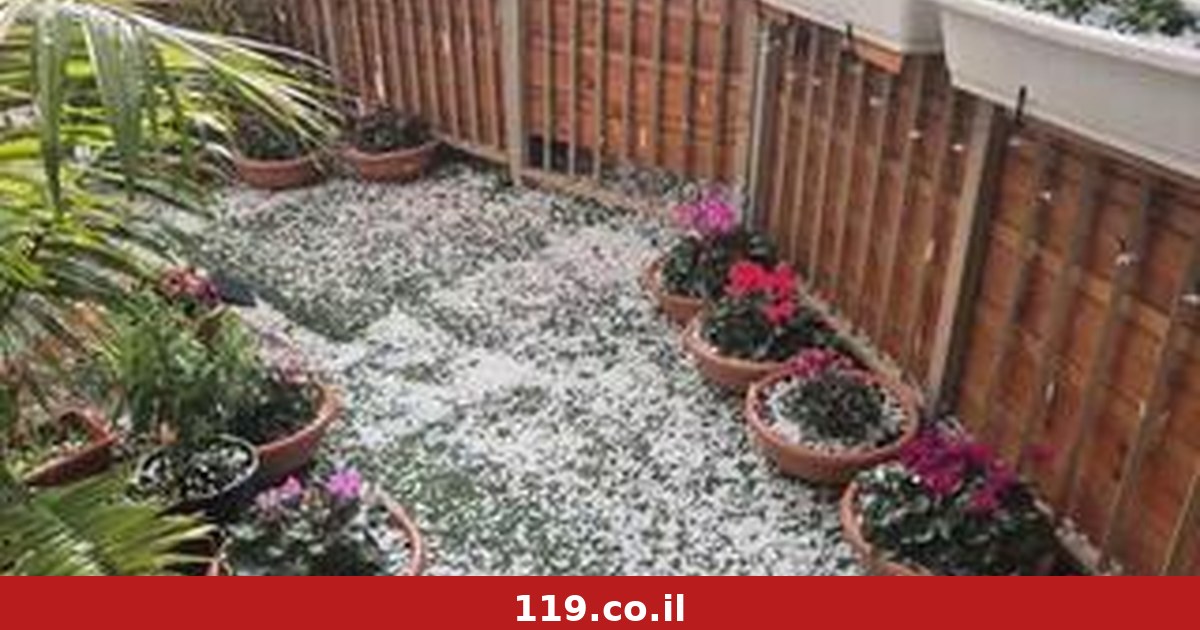 צפי לברד באוגוסט | מוקדי הגשם המרכזיים והחשש מההמשך - "ישראל חייבת תוכנית לאומית"