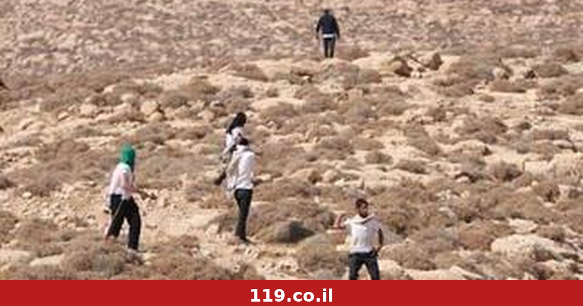 "גזע האדונים הוא אנחנו": האלופים לשעבר נגד המתנחלים הקיצונים, בכותרות "ניו יורק טיימס"