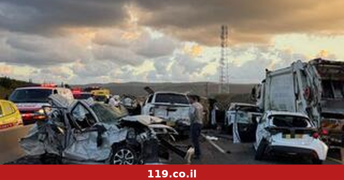 יותר מ-300 הרוגים בכבישים מתחילת השנה - והגוף הכי חשוב למניעה משותק