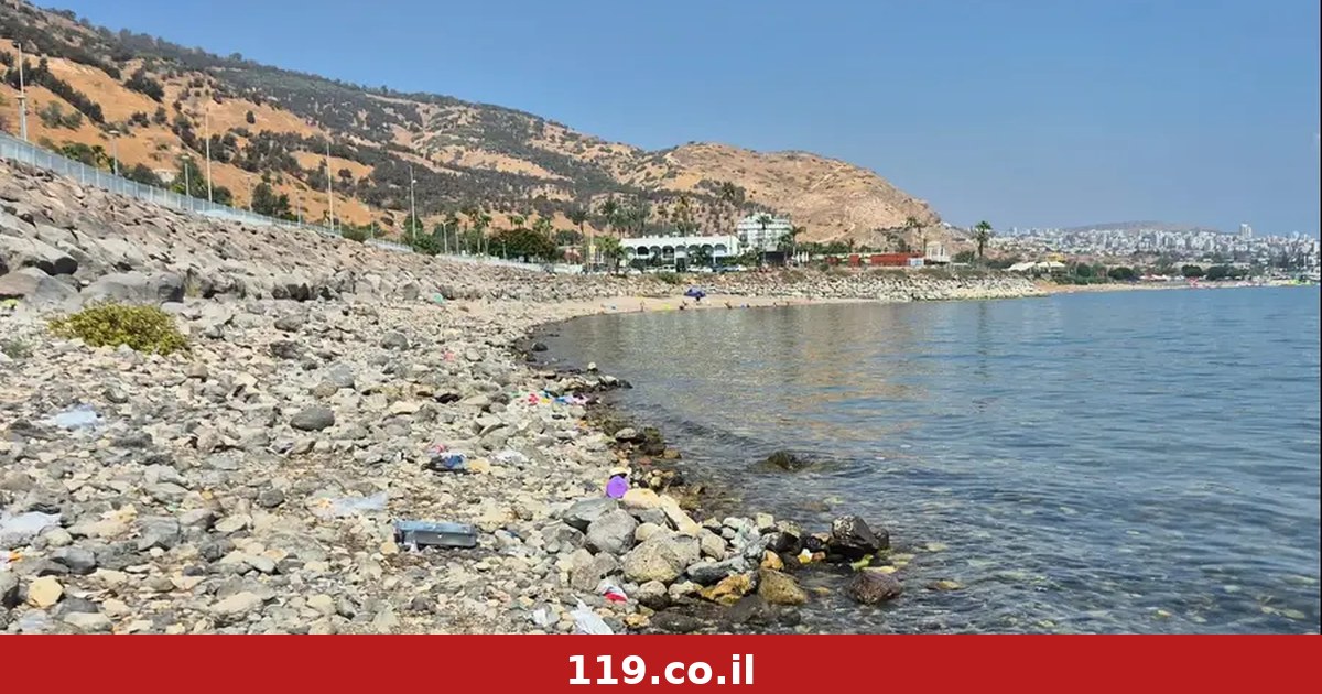משבר האצות מוריד את הכנרת: ירדה 10 ס"מ ב-10 ימים