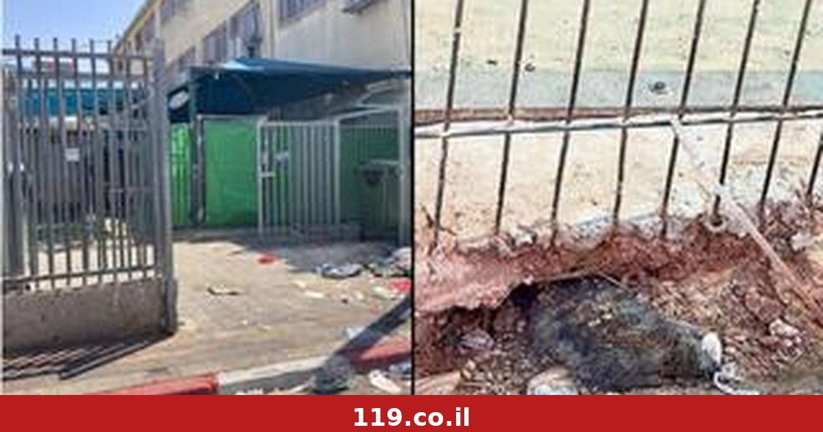 "עכברים, חולדות, נזילות": הזנחה חריגה בגני ילדים בבני ברק