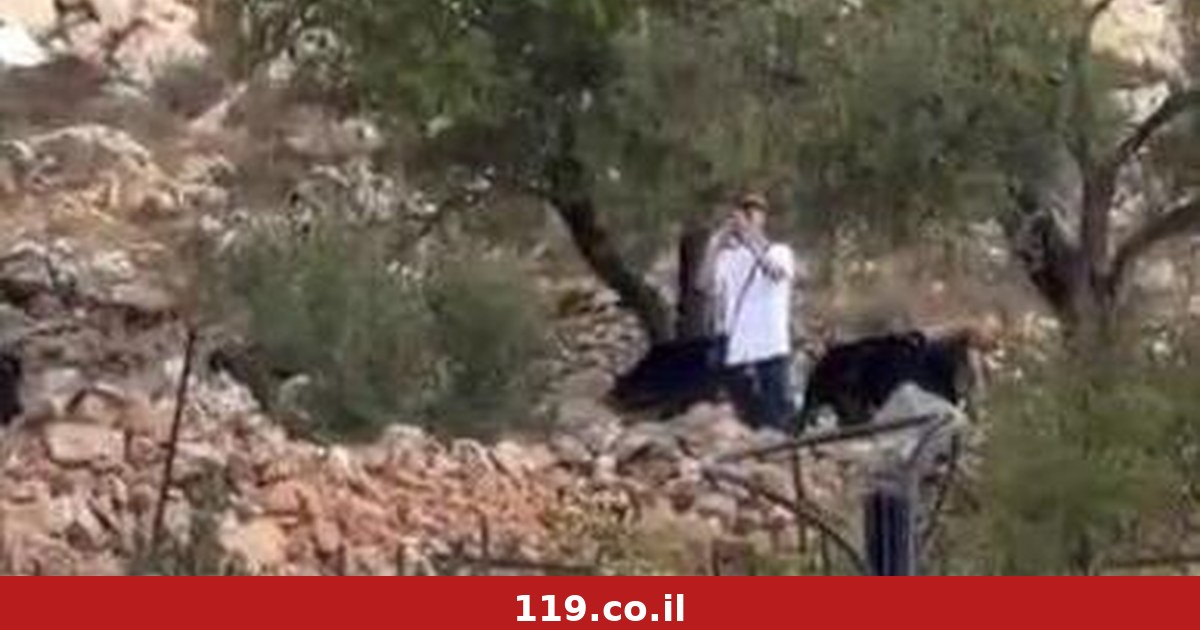 מתוח ביו"ש: פלסטינית הותקפה במקל, עימותים באזור רמאללה | תיעוד