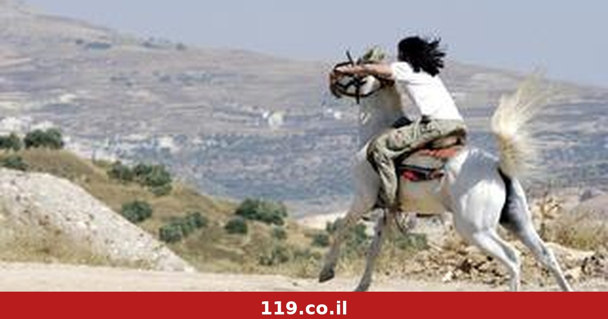 להוציא את הנוער מהגבעות? להפך. המדינה שולחת מורים אל המאחזים הבלתי-חוקיים