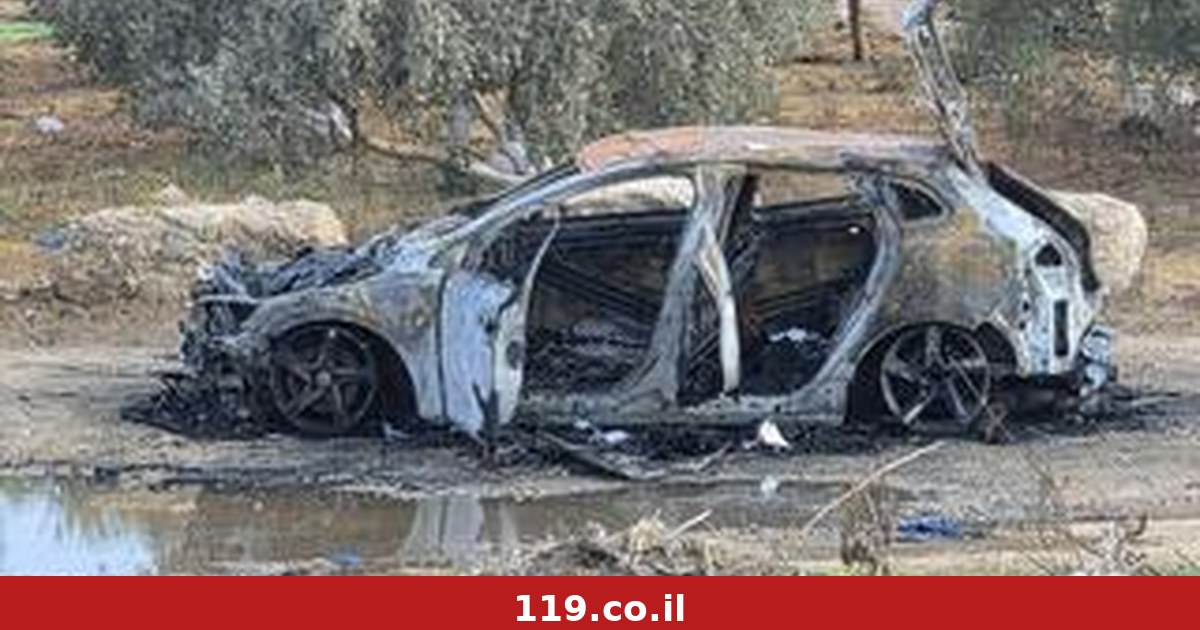 הירידה במקרי הרצח בחברה הערבית - וזעקת הסבתא שאיבדה 3 נכדים