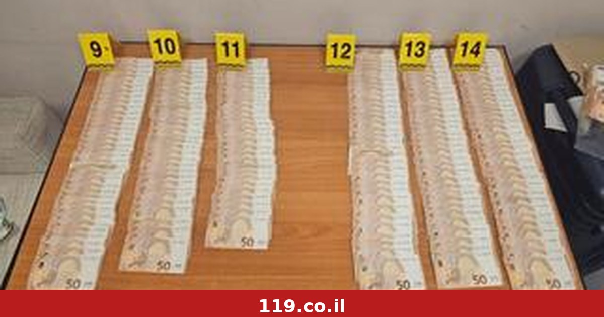 עם 19 מזוודות - ואמצעי ריגול: בני זוג נעצרו לפני המראה לישראל