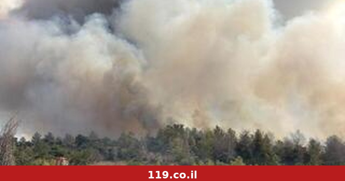 כל המטיילים פונו: הושגה שליטה על האש ביער חרובית, כ-600 דונם נשרפו