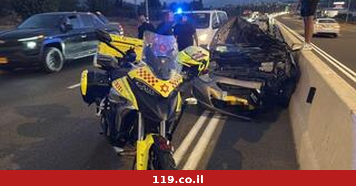 Погиб в столкновении автомобиля с лошадью в Галилее