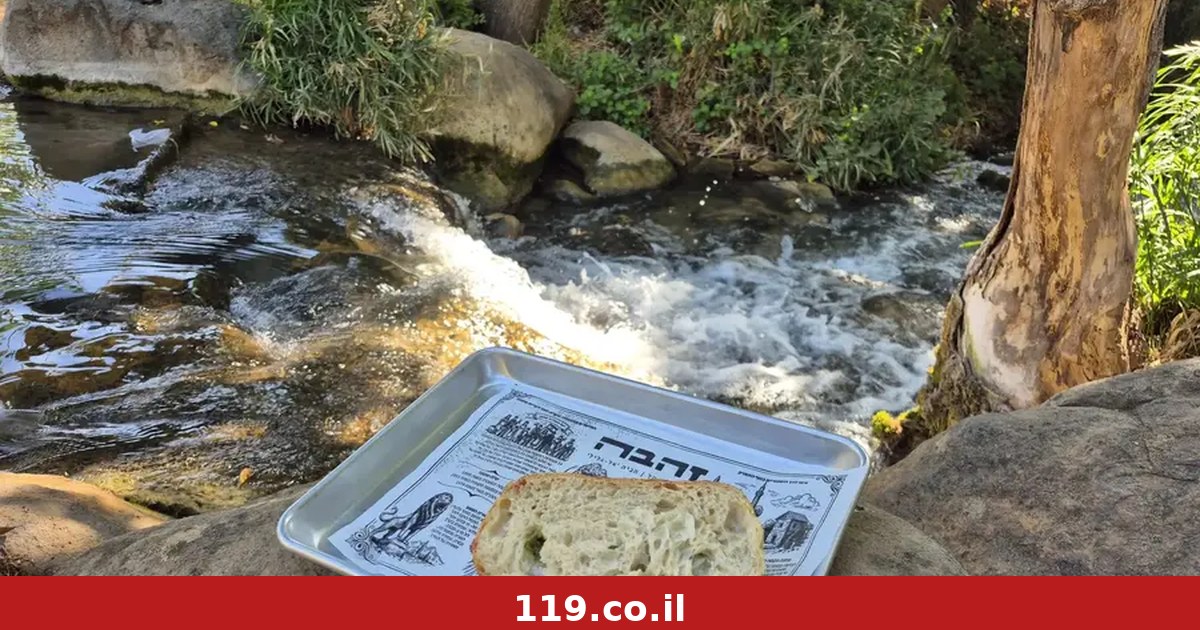 נס קטן בתוך המים: הקפה היחיד בישראל שיושבים בו בתוך הנחל