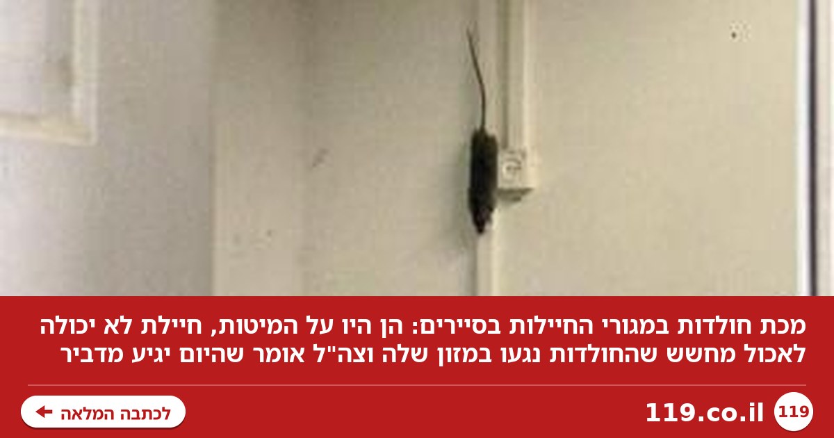 מכת חולדות במגורי החיילות בסיירים: "הן היו על המיטות - ואמרו להן 'גלו בגרות'"