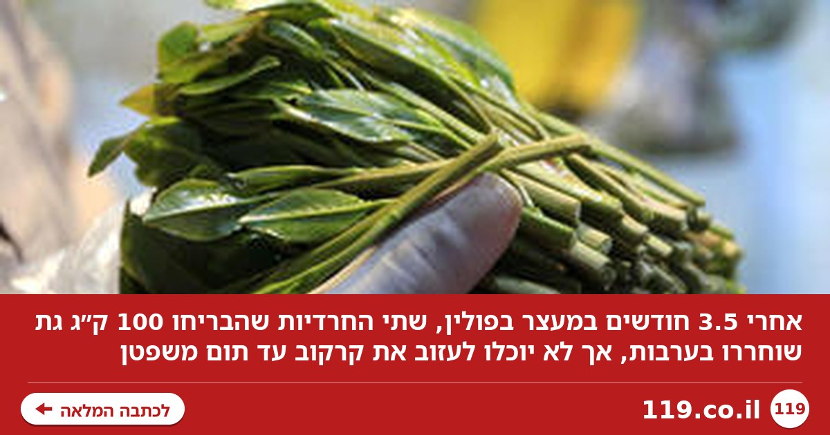 אחרי 3 וחצי חודשים במעצר בפולין: שוחררו בערבות החרדיות שהבריחו 100 ק"ג גת