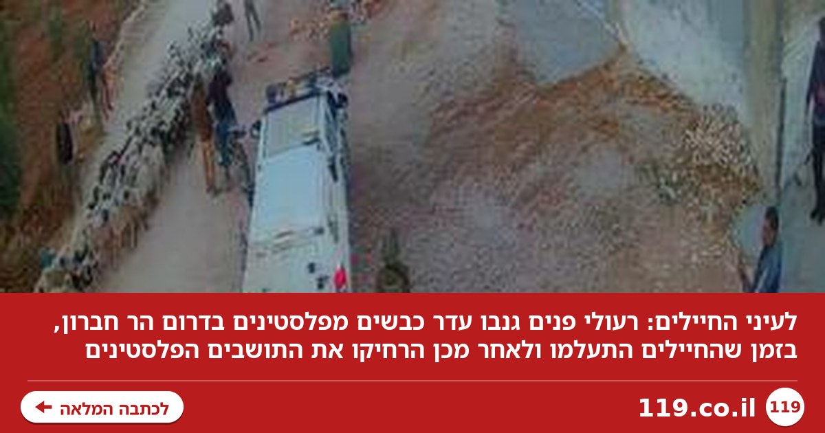 לעיני החיילים: פורעים גנבו עדר כבשים מפלסטינים - ועזבו | תיעוד