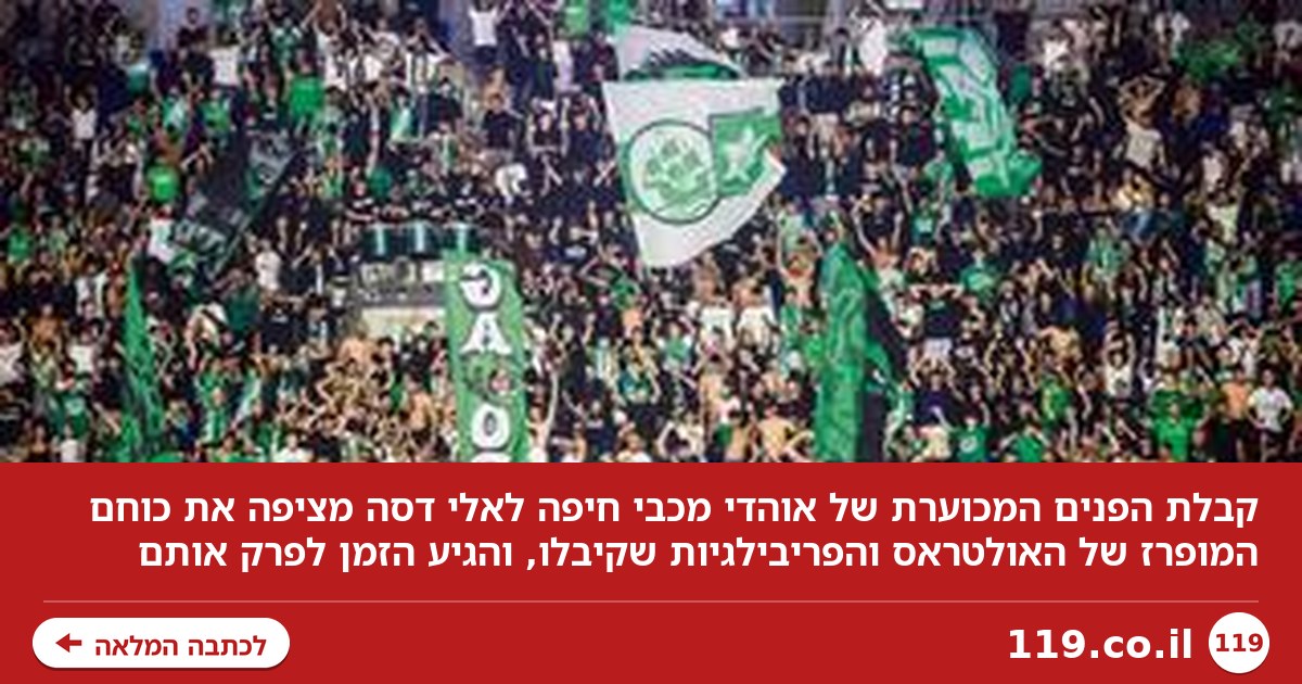 עברו כל גבול: החוצפה המדהימה של ארגון אוהדי מכבי חיפה | טור