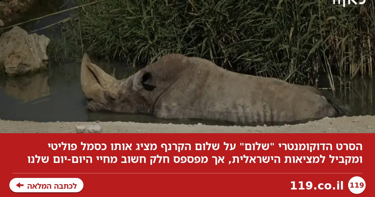 "שלום" מציג את האמת על החברה הישראלית - למי שבוחר לראות אותה | טלי שטקלברג
