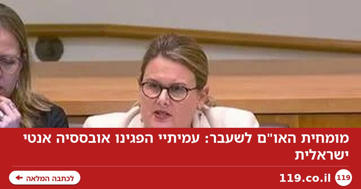 מומחית האו"ם לשעבר: עמיתיי הפגינו אובססיה אנטי ישראלית