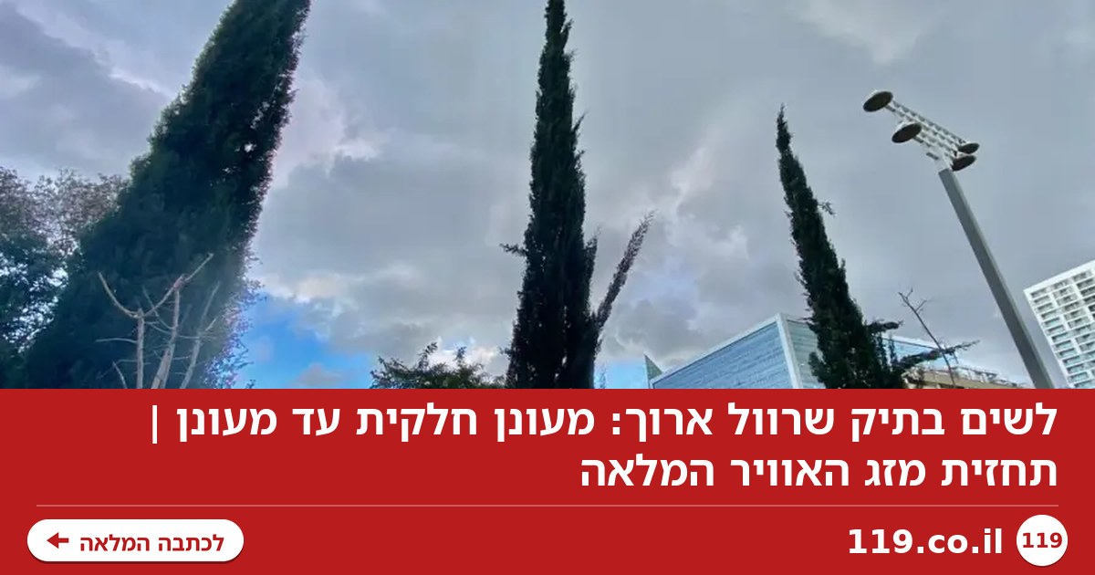 לשים בתיק שרוול ארוך: מעונן חלקית עד מעונן | תחזית מזג האוויר המלאה
