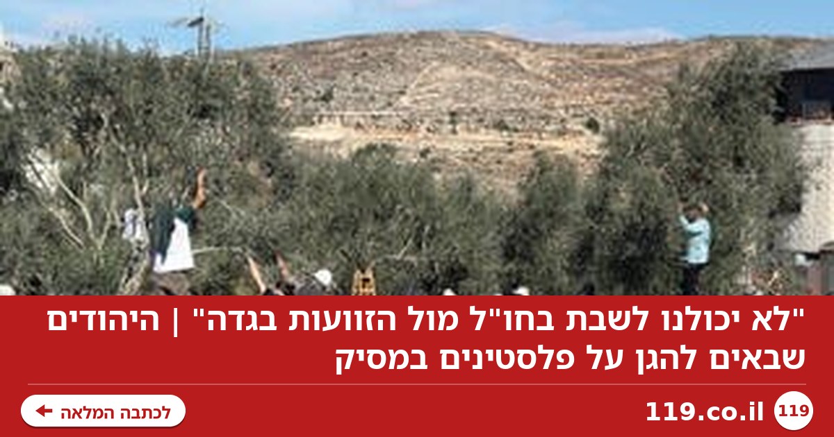 "לא יכולנו לשבת בחו"ל מול הזוועות בגדה" | היהודים שבאים להגן על פלסטינים במסיק