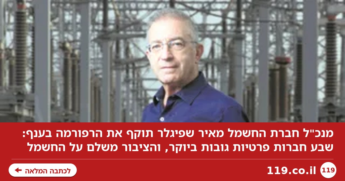 "היצרנים הפרטיים מוכרים חשמל במחירים מטורפים. הם מרוויחים מיליארדים והציבור משלם"