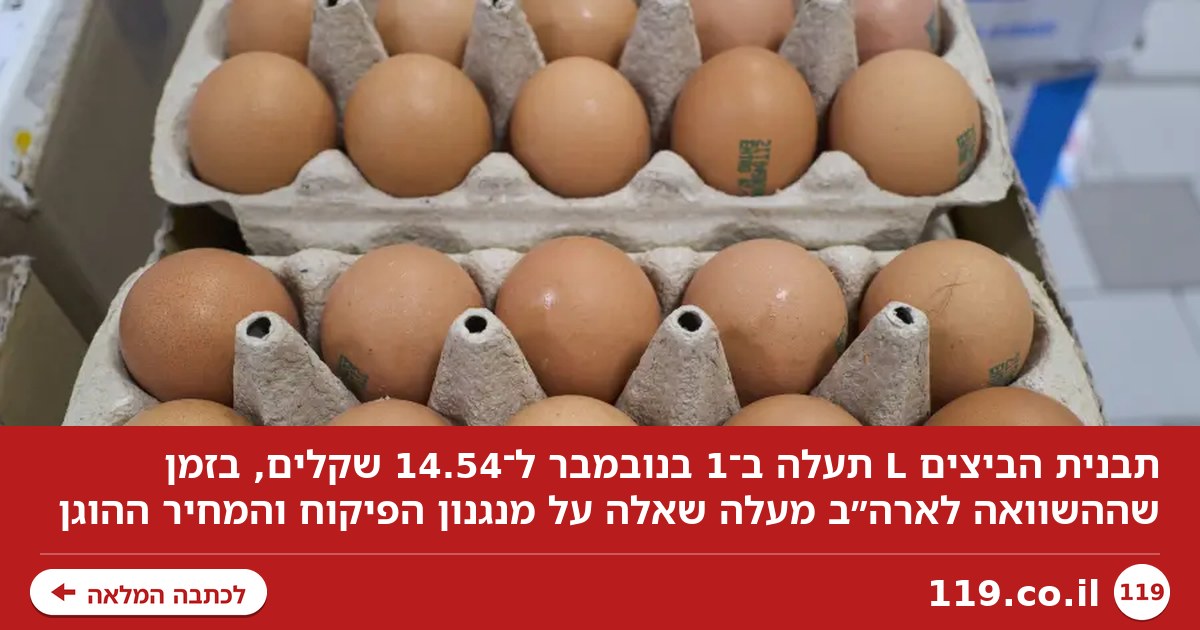תבנית הביצים מתייקרת: למה שם המחיר ירד וכאן הוא ממשיך לעלות?