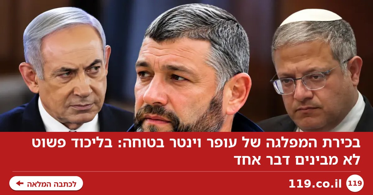 בכירת המפלגה של עופר וינטר בטוחה: בליכוד פשוט לא מבינים דבר אחד