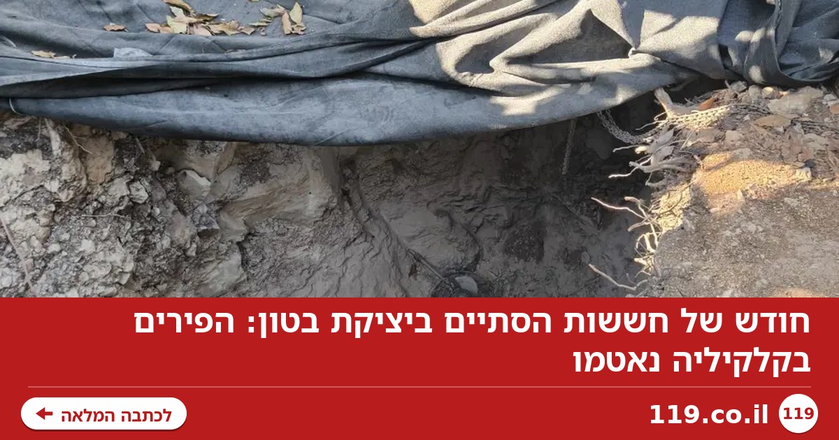 חודש של חששות הסתיים ביציקת בטון: הפירים בקלקיליה נאטמו